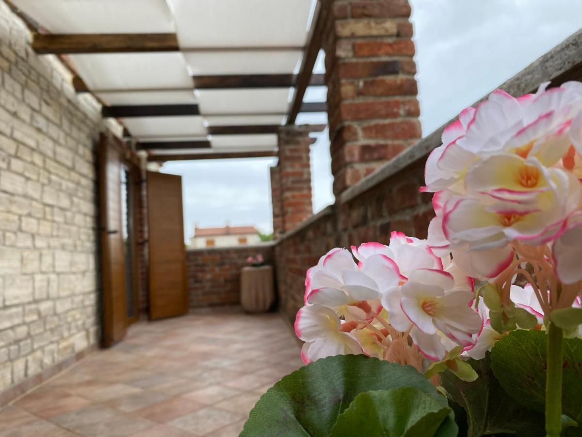 Paradise Villa Cassonni Istria 4 Stars Butkovići エクステリア 写真