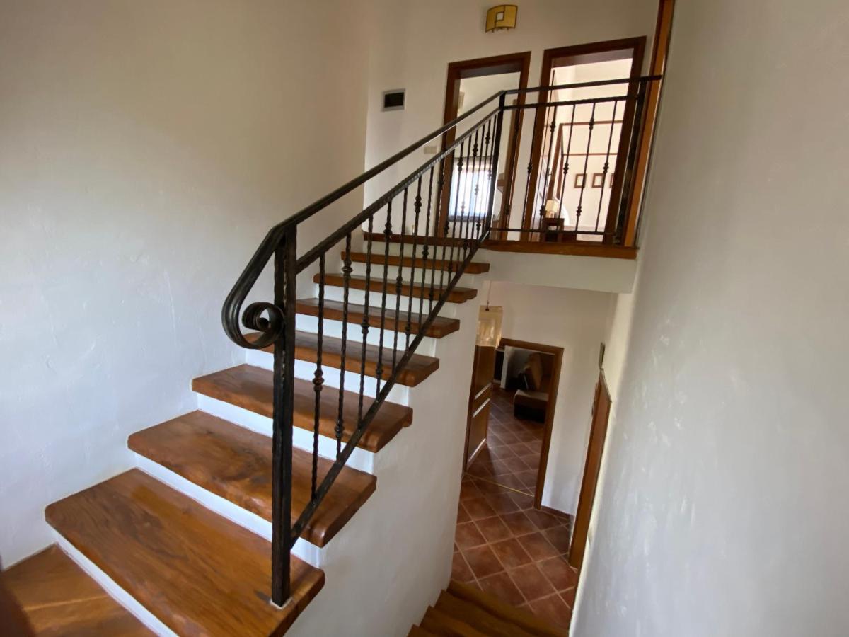 Paradise Villa Cassonni Istria 4 Stars Butkovići エクステリア 写真